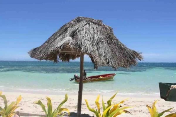 Mana Lagoon Backpackers Екстериор снимка